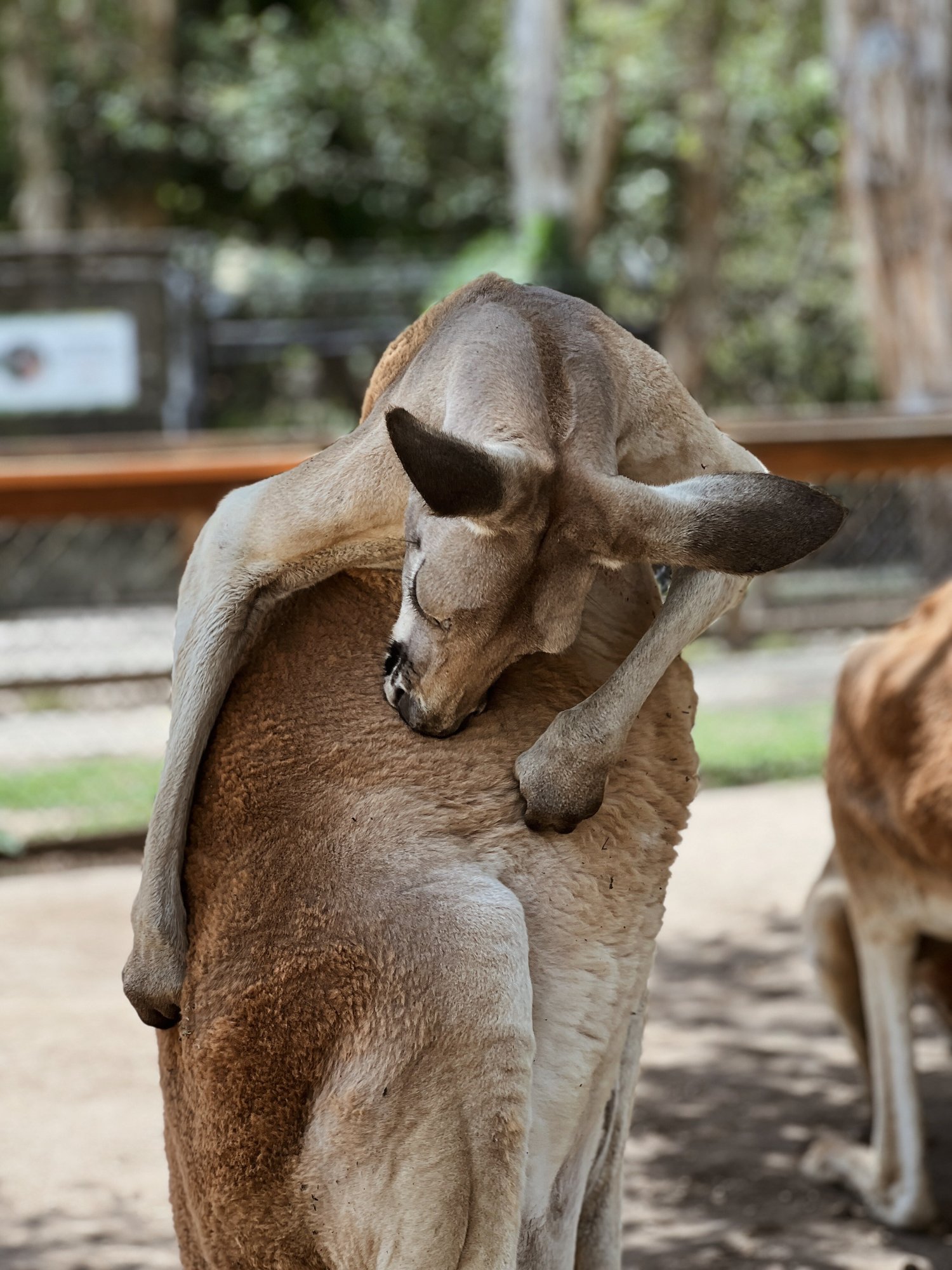 DBCE498B-119B-4AF2-8C5D-F27DE0A66508