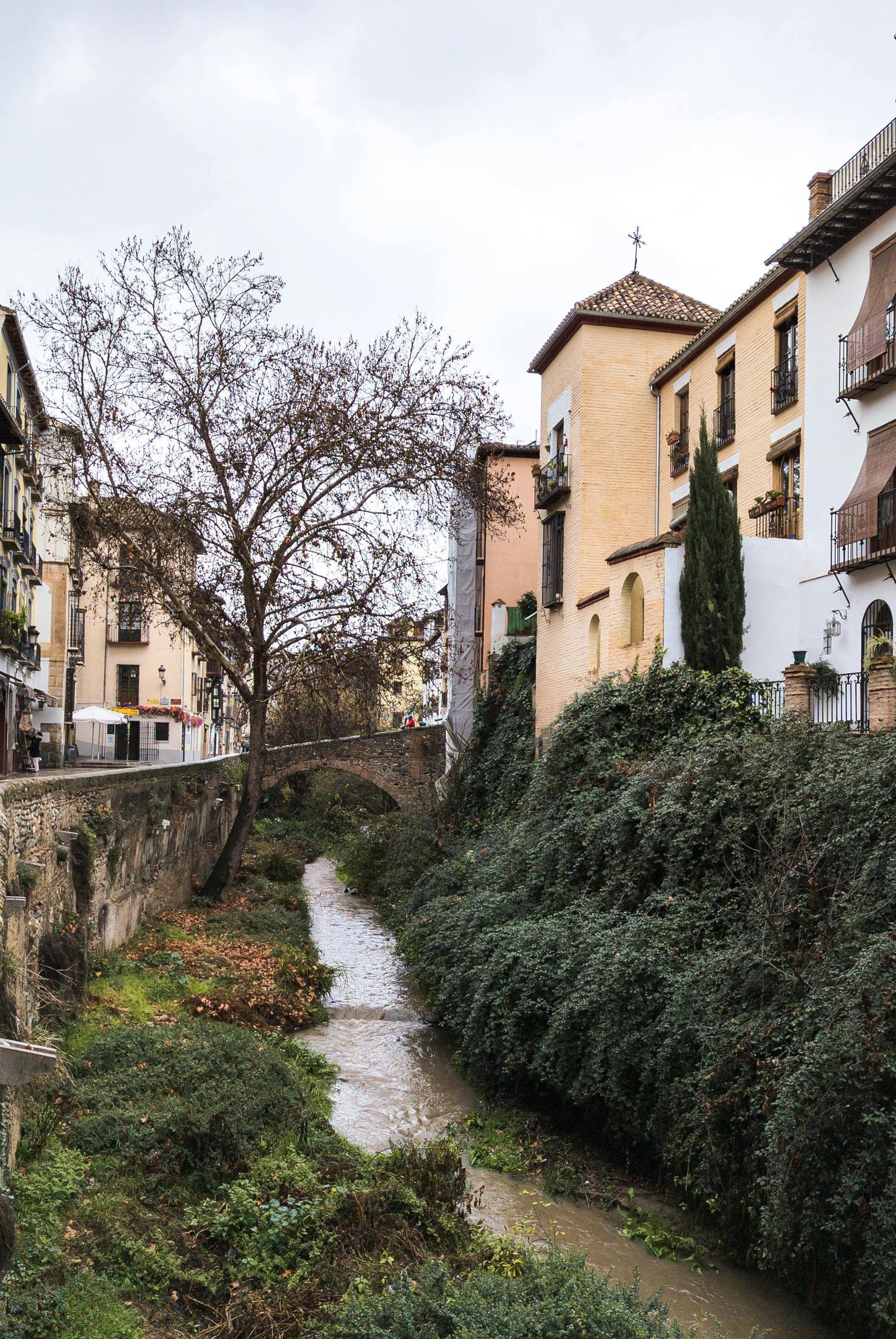 pexels-fran-segovia-22733480-20197379-1